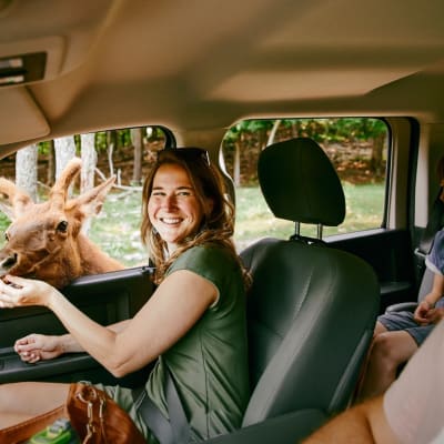 Accessible tourism in Petite Nation