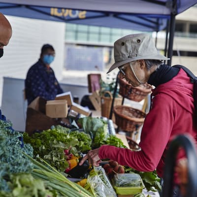 Marché public Solar