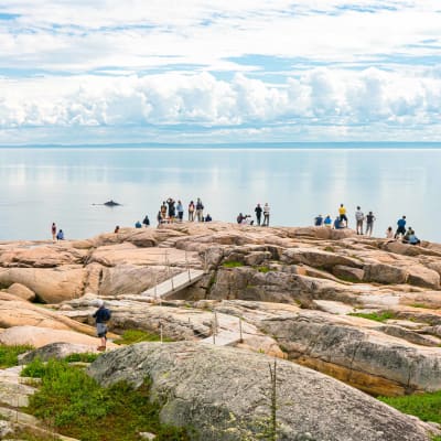 Parc marin du Saguenay–Saint-Laurent