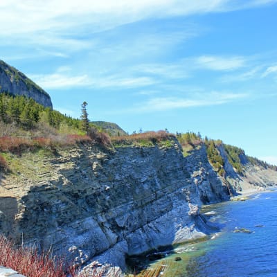 Parc national Forillon