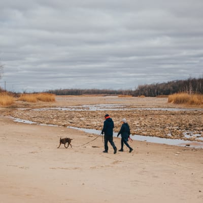 Plage du Parc régional des Îles-de-Saint-Timothée