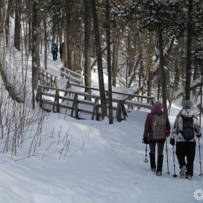 Promenade Jacques-Cartier