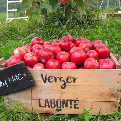 Verger Labonté