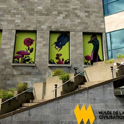 Visite du musée