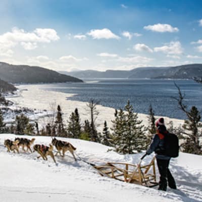 Dog sledding