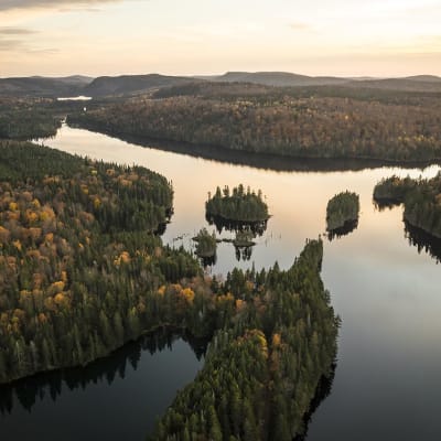 Réserve faunique de Portneuf