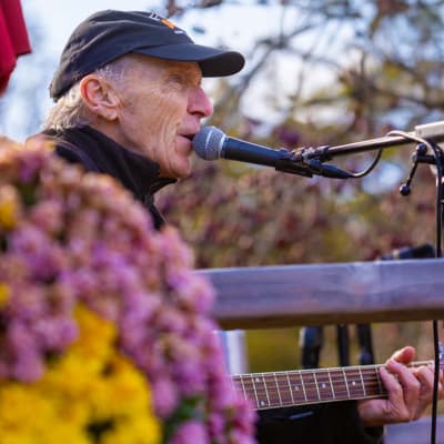 Terrasse en musique