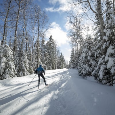 Ski de fond au Mont Grand-Fonds