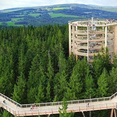 Treetop Walk Package
