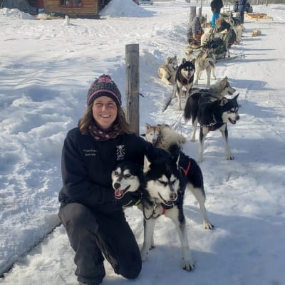 Dog sled
