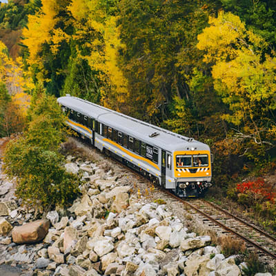 Train de Charlevoix