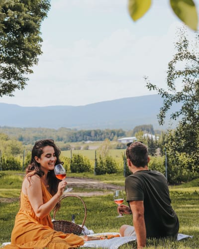 Agrotourisme dans Brome-Missisquoi : pique-nique