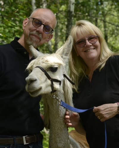 Alpagas du Domaine Poissant - Un homme, une femme et un alpaga