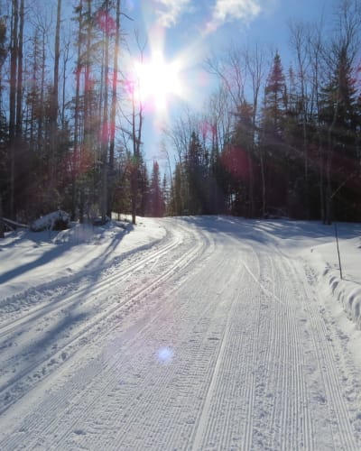 Sentier en hiver à Amiski Club de ski de fond & raquette.