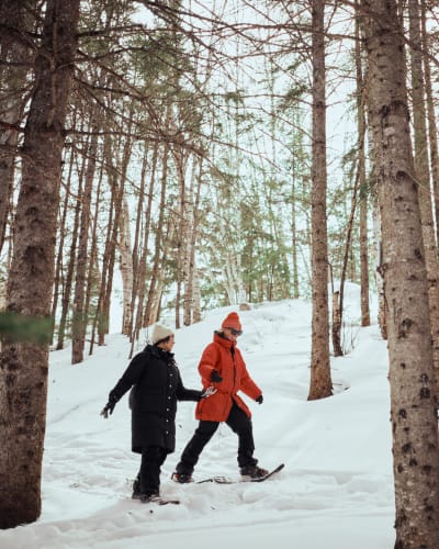 Deux personnes font de la raquette à l'Arboretum de la Presqu’île Croft.