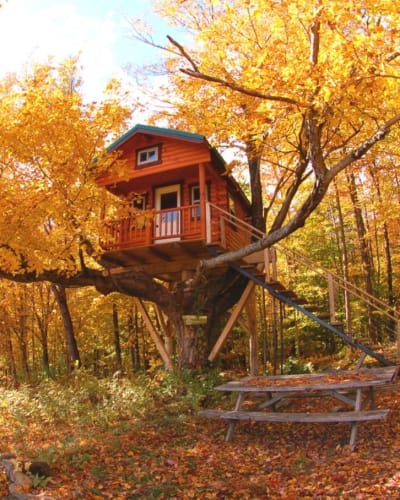 Cabane dans les arbres en automne.