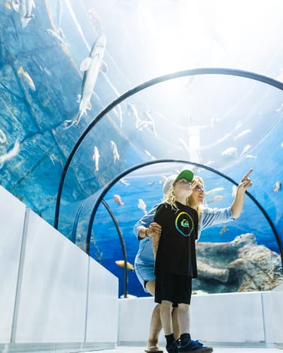 Aquarium du Québec and Breakfast Package