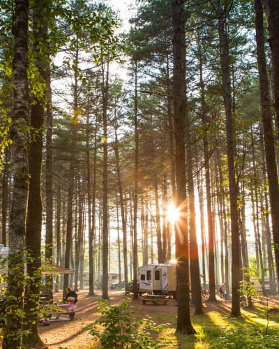 Des VRs au Camping Centre Touristique du Lac-Simon.