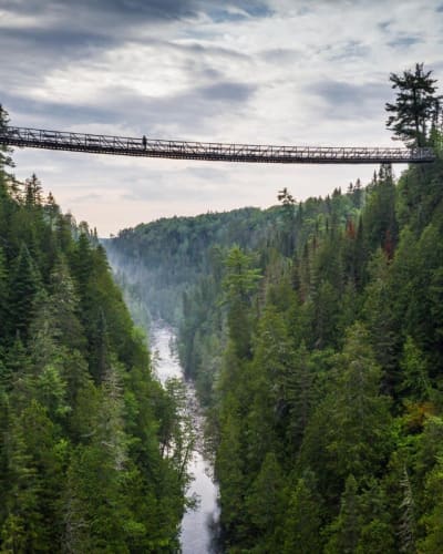 Passerelle suspendue.
