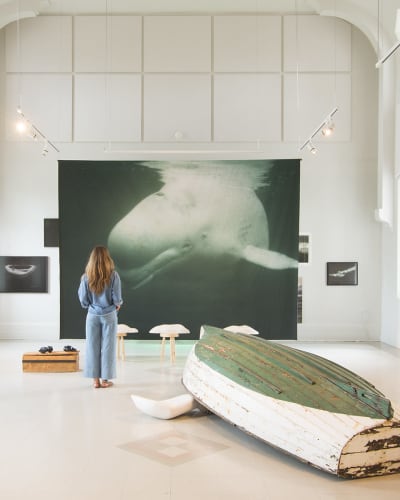 Détails de l'expo Dans l'œil du béluga, par Maryse Goudreau au Centre d'art de Kamouraska.