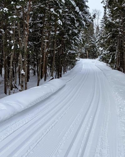 Piste de ski de fond du Centre de ski de fond et raquette d’Estérel.