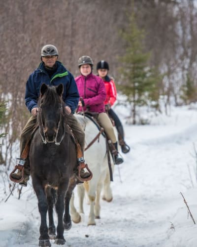 Randonnée équestre hivernale au Centre équestre Mistouk.