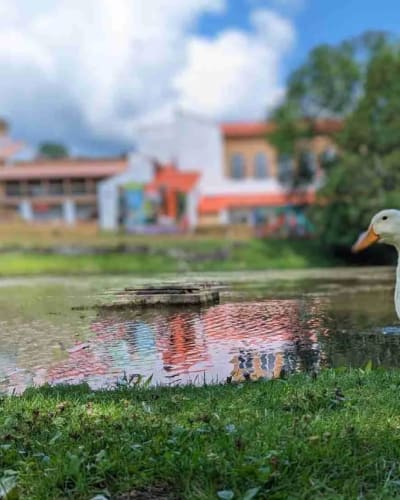 Promotion 3 nights 30%