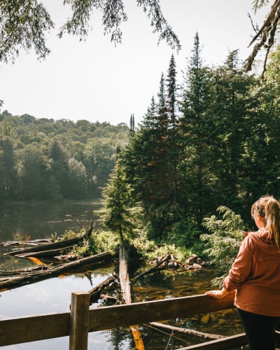 Interpretation trails and circuits in Petite Nation - A woman observing nature