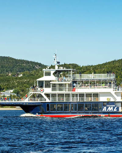 Croisière aux baleines en bateau d'observation à Tadoussac