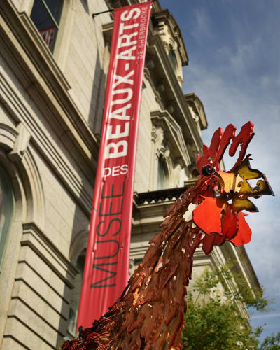 Museum Passport Package