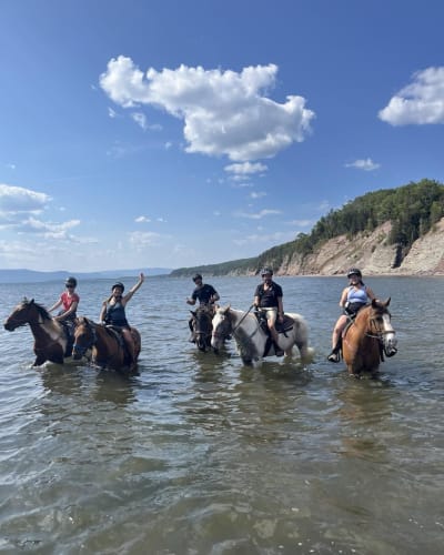 Équitation Centaure - Forillon