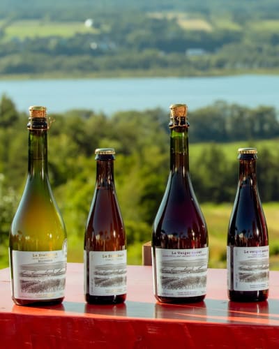 Sélection de cidre du Domaine Steinbach - Cidrerie B&B, Distillerie, en plein cœur de l’Île d’Orléans