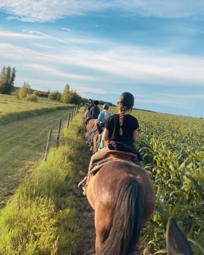 Randonnée à cheval à Écuries 1101.
