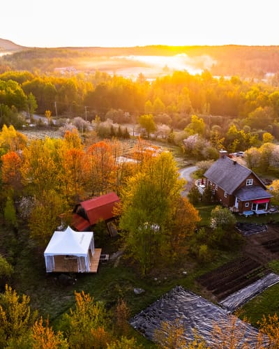 fall at Espace Hors Champ.