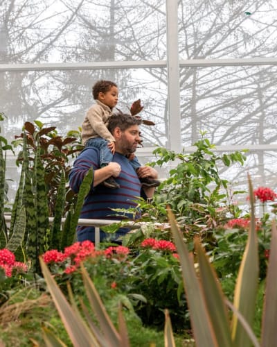 Insectarium - Espace pour la vie