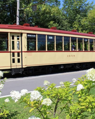 Balade en tramway