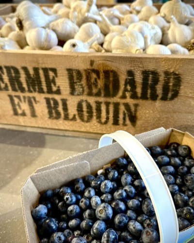 Ail et bleuets, Ferme Bédard et Blouin.