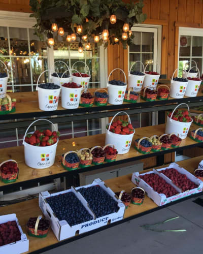 Kiosque de fraises et petits fruits, Ferme Genest.