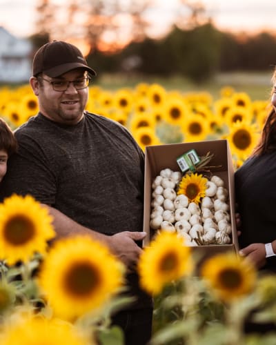Famille de producteurs tenant de l'ail dans un champ de tournesols.