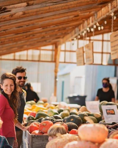 Squash Stand.
