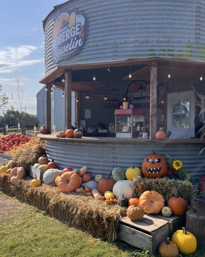 Kiosques de citrouilles à la Ferme Roberge et Gosselin.