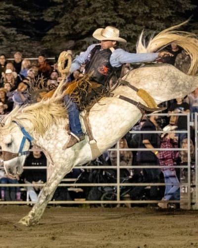 Festival Western Saint-André-Avellin : rodeo