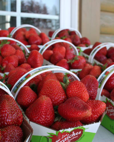 Fraisière Faucher