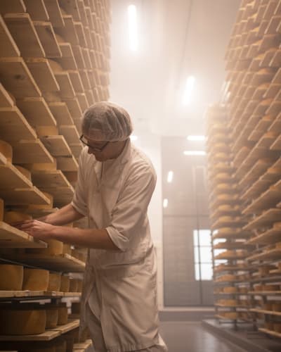 Fromager avec des centaines de fromages sur des tablettes