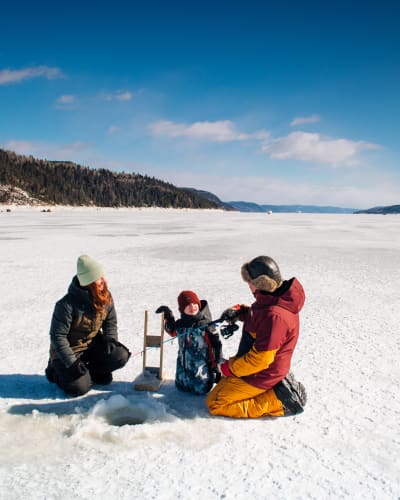 Glaces du Fjord