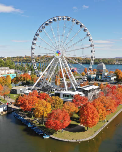 La Grande Roue de Montréal.