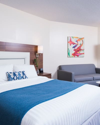 Chambre avec 1 lit et coin salon.