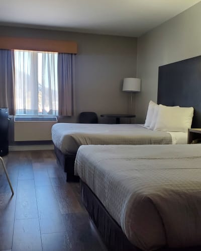 Chambre de l'Hôtel Le 625