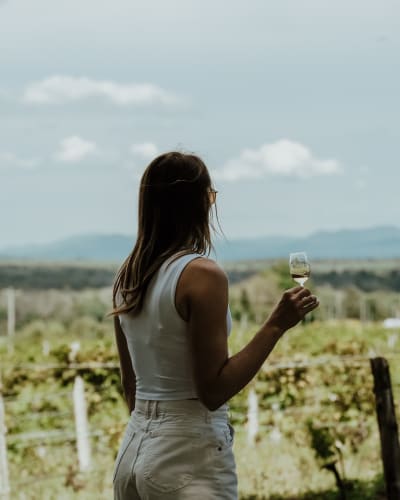 La Route des vins de Brome-Missisquoi