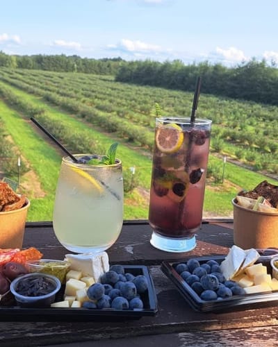 Cocktails et plateau de charcuterie avec vue sur les champs.